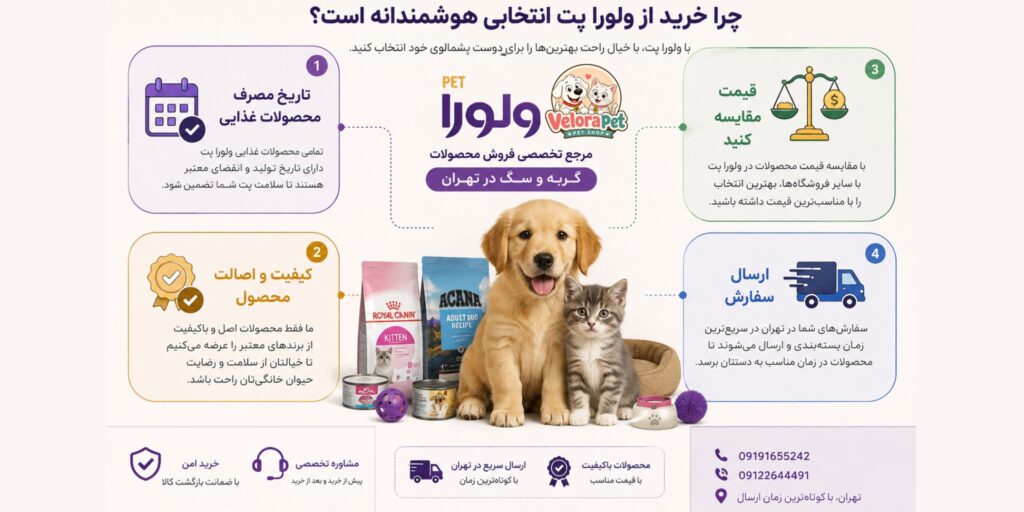 هنگام خرید از پت شاپ به چه نکاتی توجه کنیم؟ بهترین پت شاپ تهران